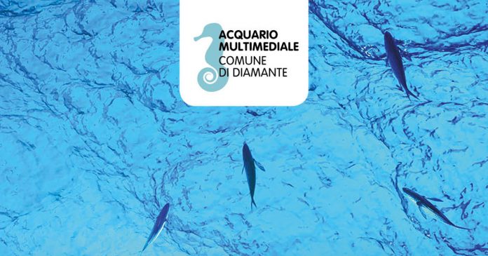 Diamante, Cauteruccio: «Si ritirino atti e comunicazioni per la gestione dell'Acquario Multimediale»