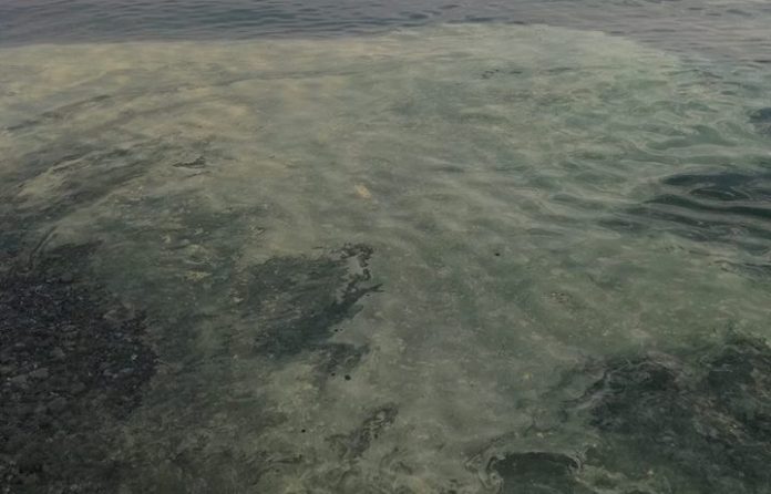 Stessa spiaggia, stesso mare: anche quest'anno quello del Tirreno è a chiazze